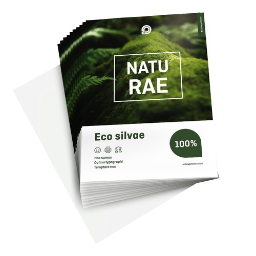 Flyers & Leaflets eco/natural paper, A6, printed on one side 2